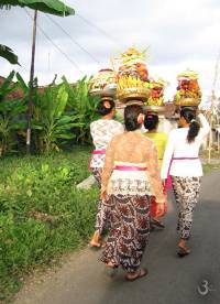 Balinese woman carry offerings to the temple Pura Dalem Sukawati (Odalan)